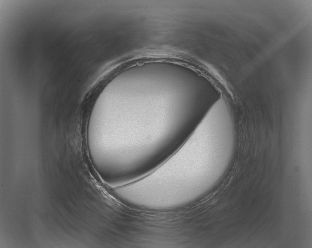 X0000083621456200702120737