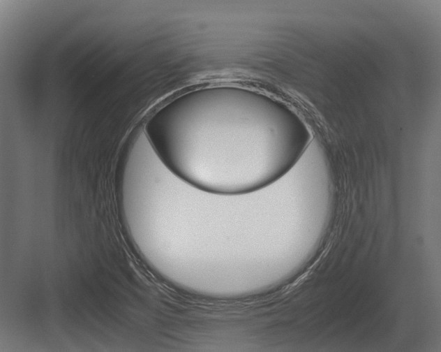 X0000083621457200702120737