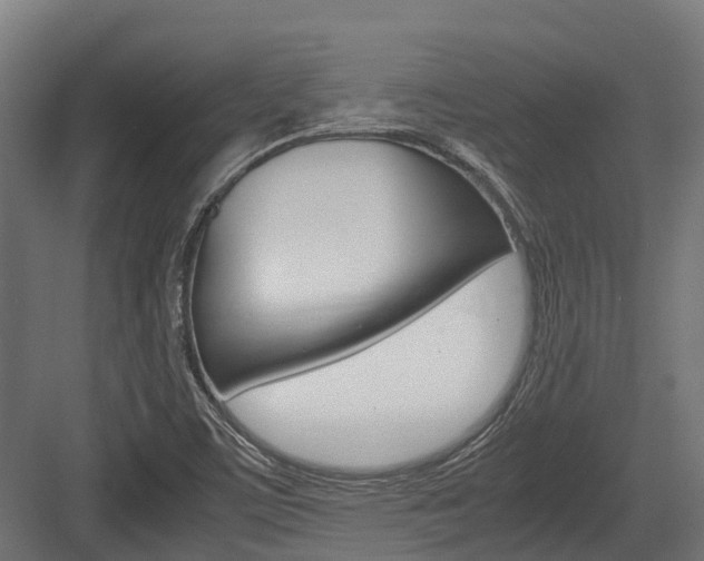 X0000083621459200702120737