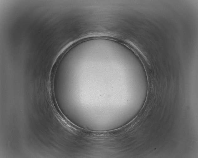 X0000083621460200702120737