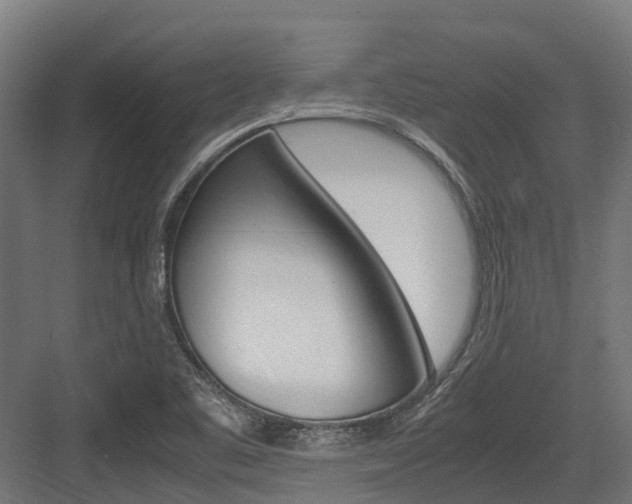 X0000083621461200702120737