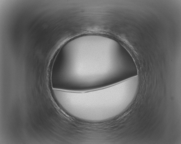 X0000083621463200702120737