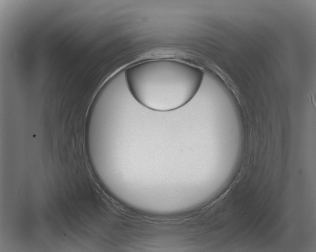 X0000083621465200702120737