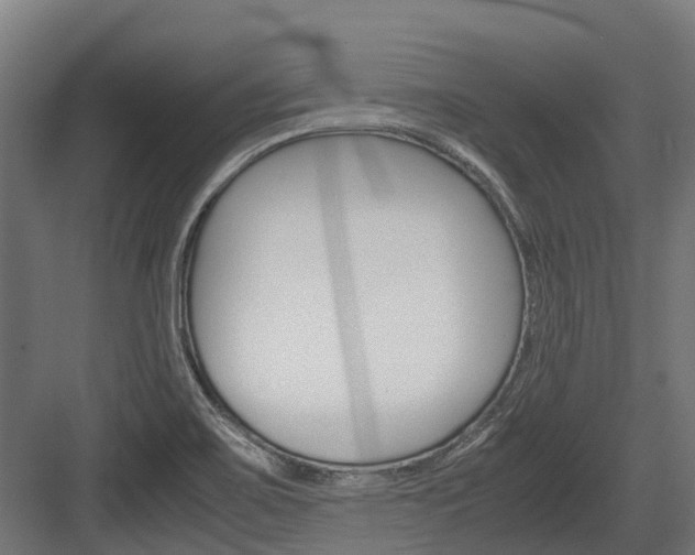 X0000083621467200702120737