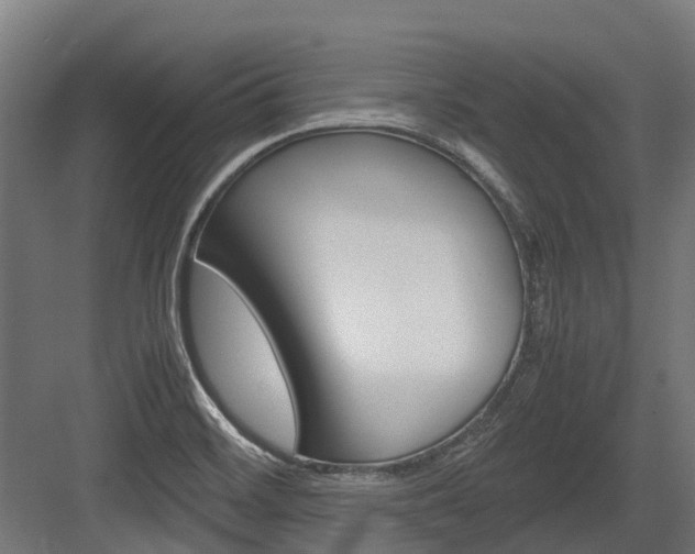 X0000083621468200702120737