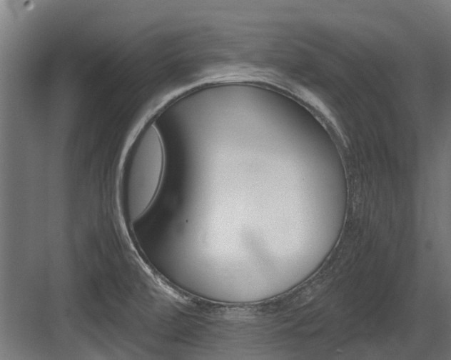 X0000083621472200702120737