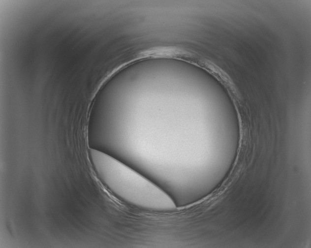 X0000083621473200702120737