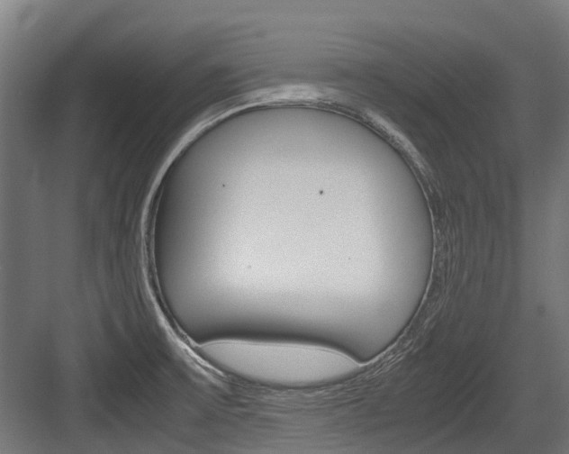 X0000083621475200702120737