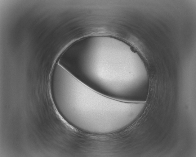 X0000083621476200702120737