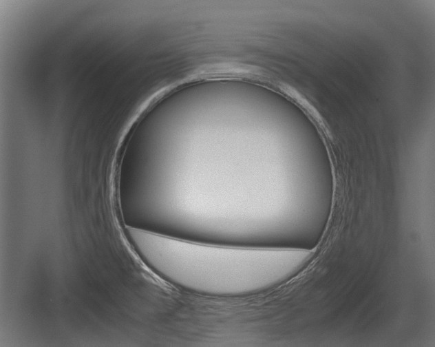 X0000083621477200702120737