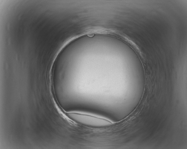 X0000083621479200702120736