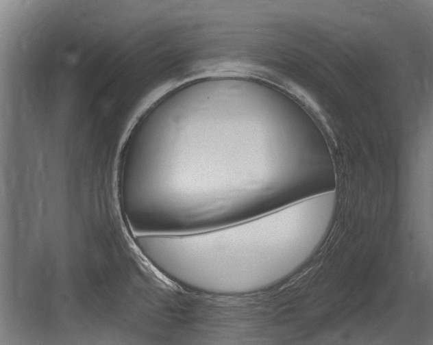 X0000083621480200702120736
