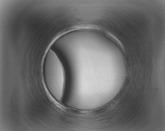 X0000083621483200702120736
