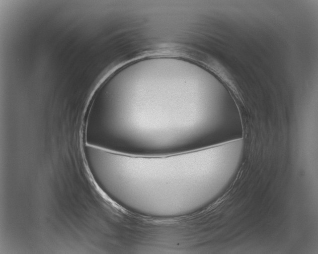 X0000083621484200702120736