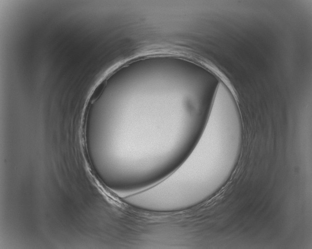 X0000083621485200702120736