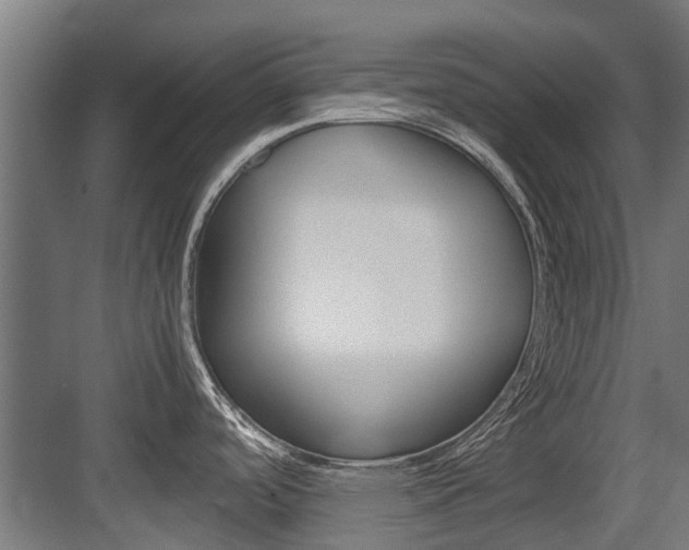 X0000083621488200702120736