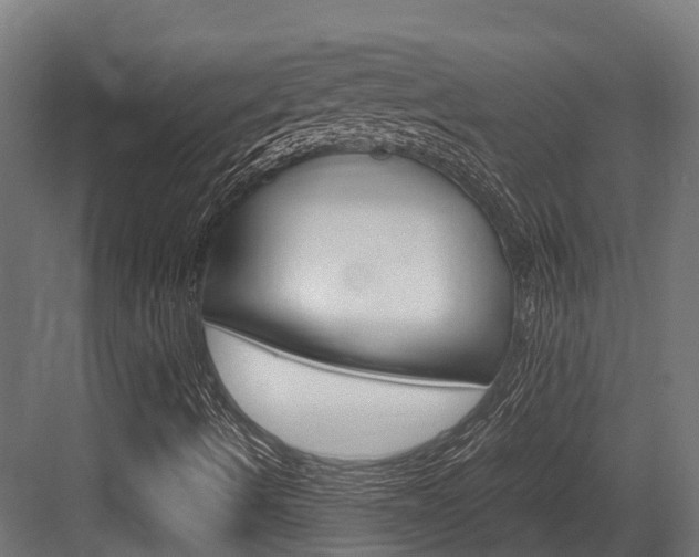 X0000083621490200702120736