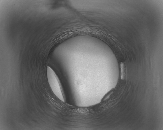 X0000083621491200702120736