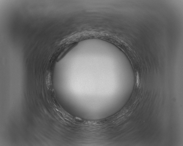 X0000083621492200702120736