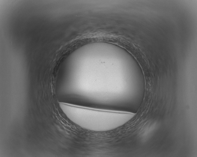 X0000083621493200702120736
