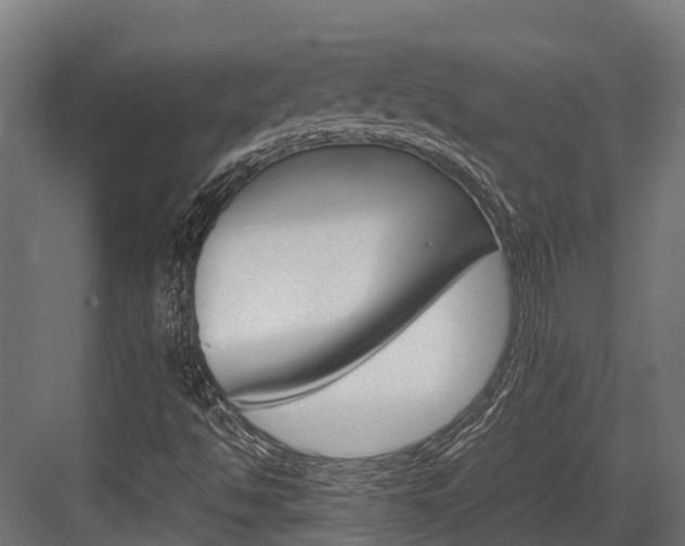 X0000083621494200702120736