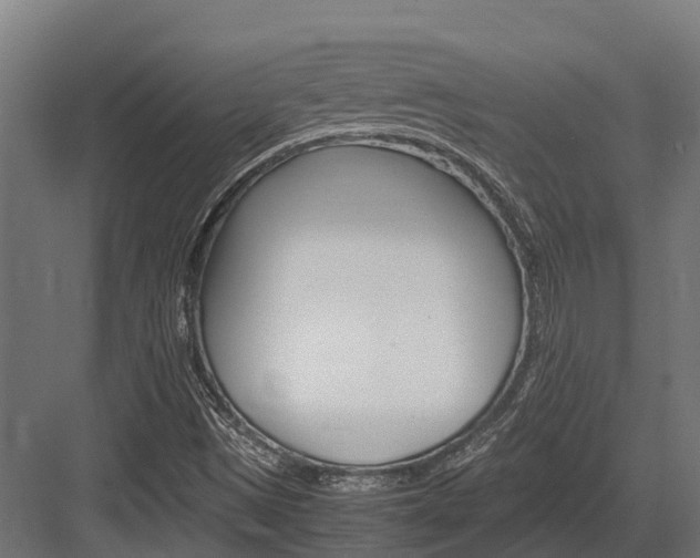X0000083621497200702120736