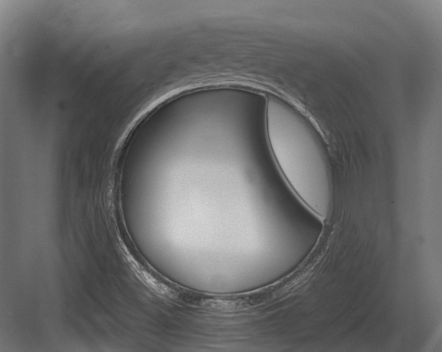 X0000083621500200702120736