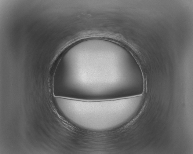 X0000083621501200702120736