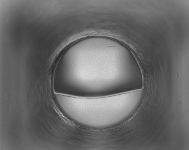 X0000083621503200702120736