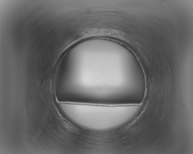 X0000083621505200702120736