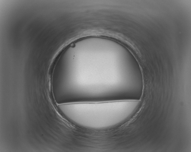 X0000083621509200702120736