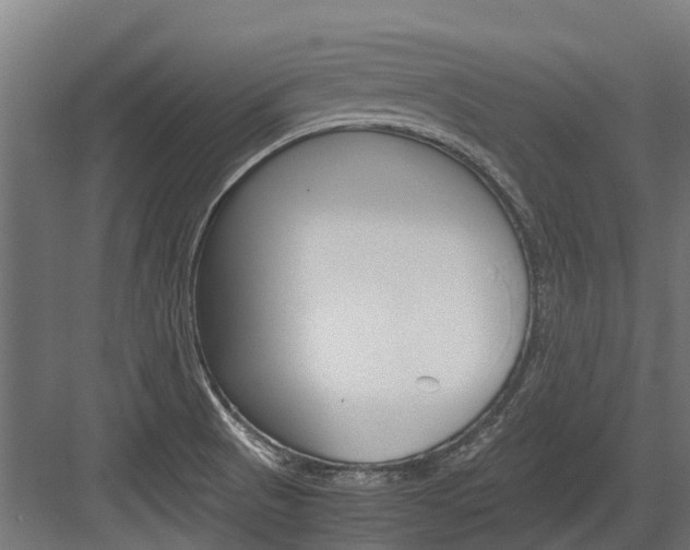 X0000083621521200702120736