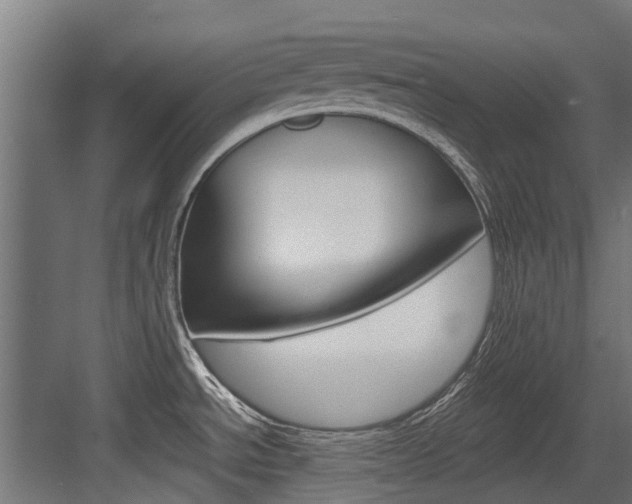 X0000083621534200702120736