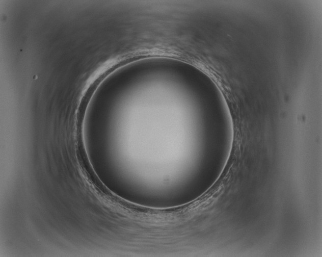 X0000083620008200702121152