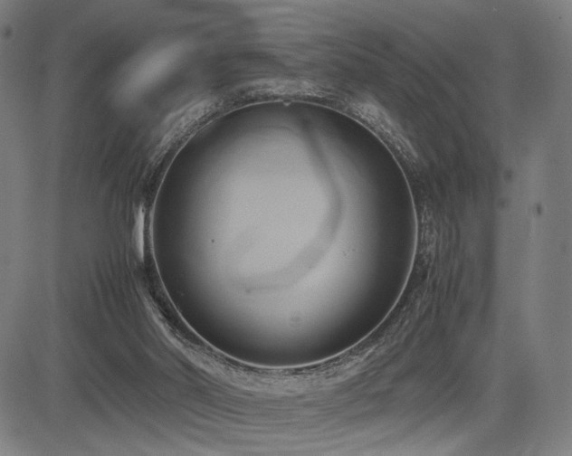 X0000083620014200702121152