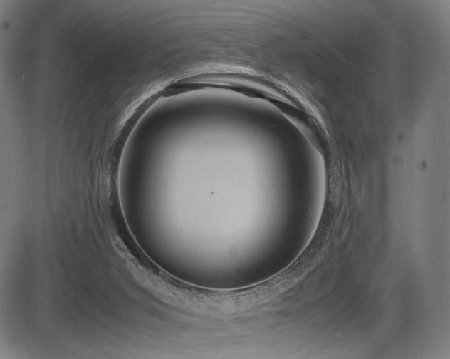 X0000083620015200702121152