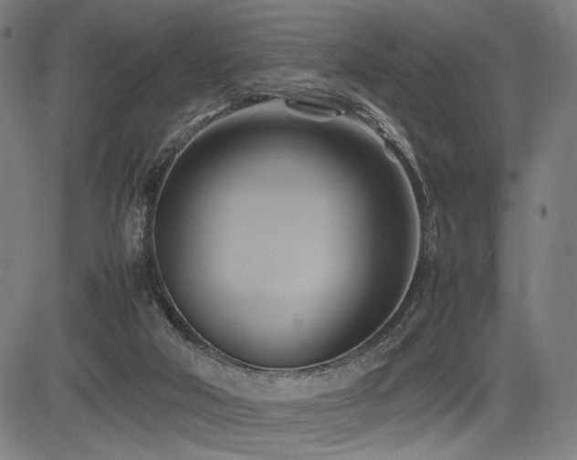 X0000083620018200702121152