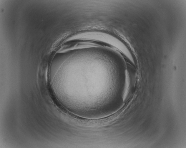 X0000083620019200702121152