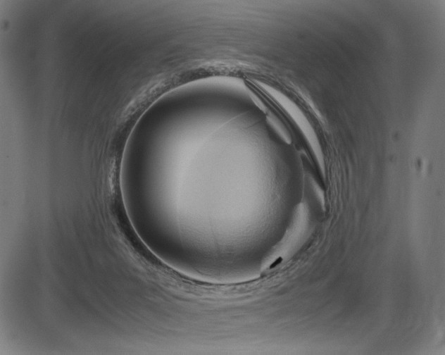 X0000083620023200702121152