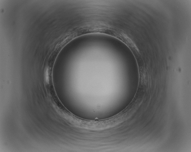 X0000083620026200702121152