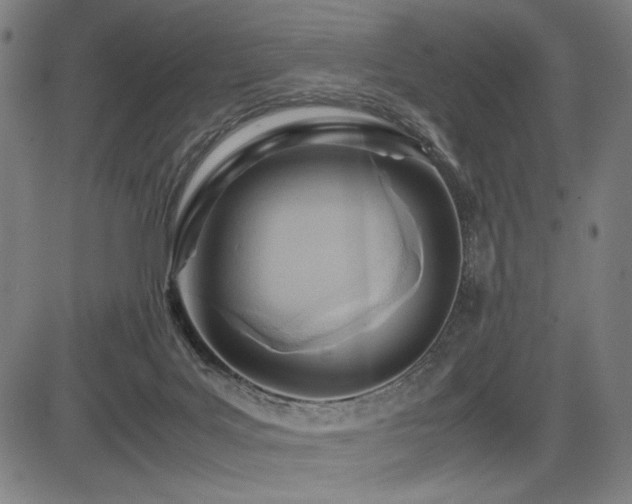 X0000083620027200702121152