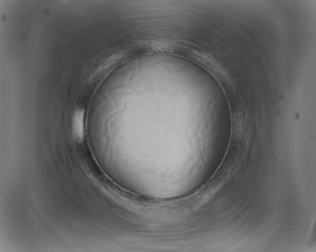 X0000083620028200702121152