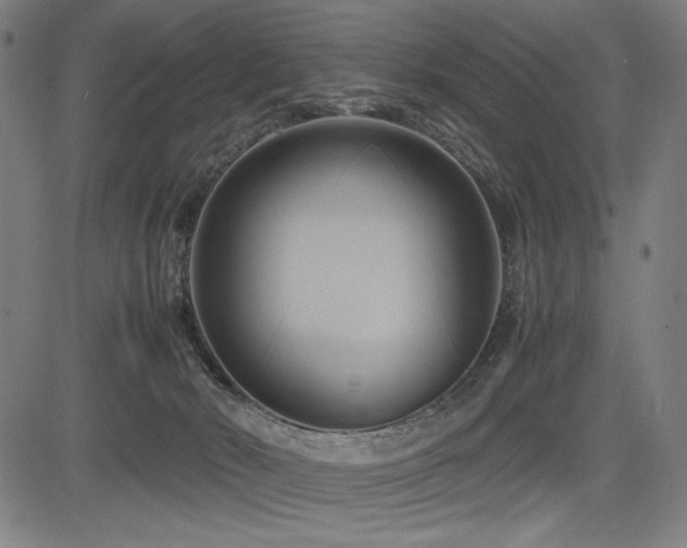 X0000083620030200702121152