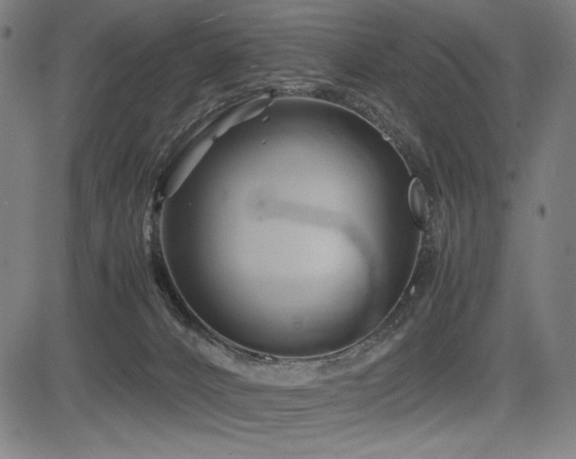 X0000083620032200702121151