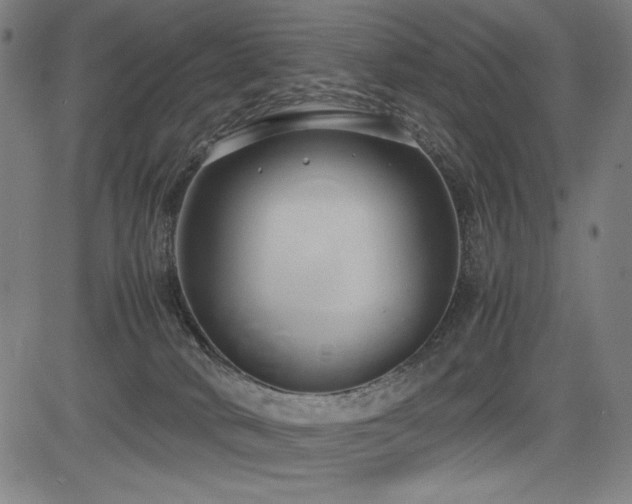 X0000083620034200702121151