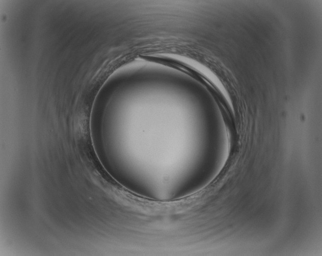 X0000083620035200702121151