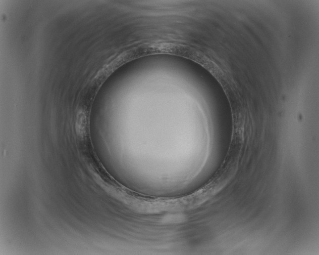 X0000083620036200702121151