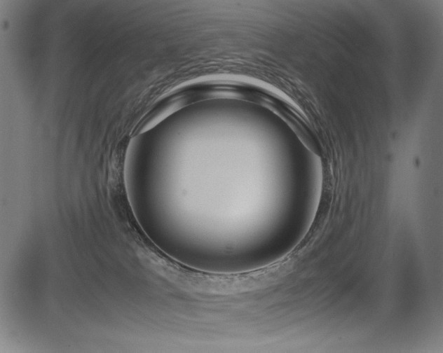 X0000083620037200702121151