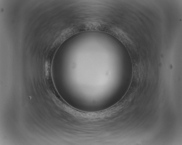 X0000083620038200702121151
