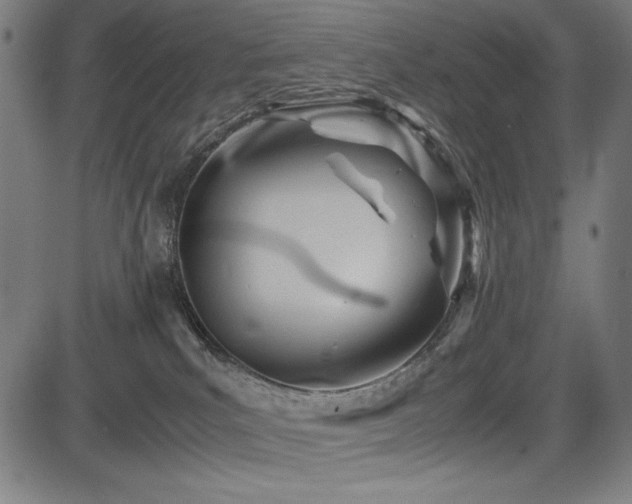 X0000083620039200702121151